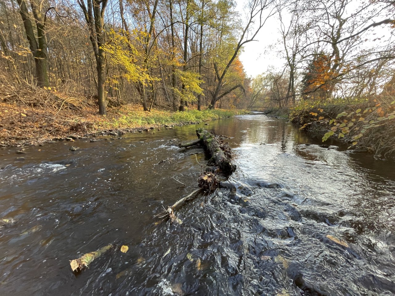 Lit�vka v Lochovic�ch