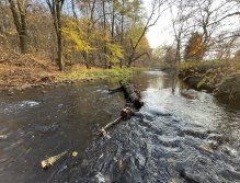 Litávka v Lochovicích