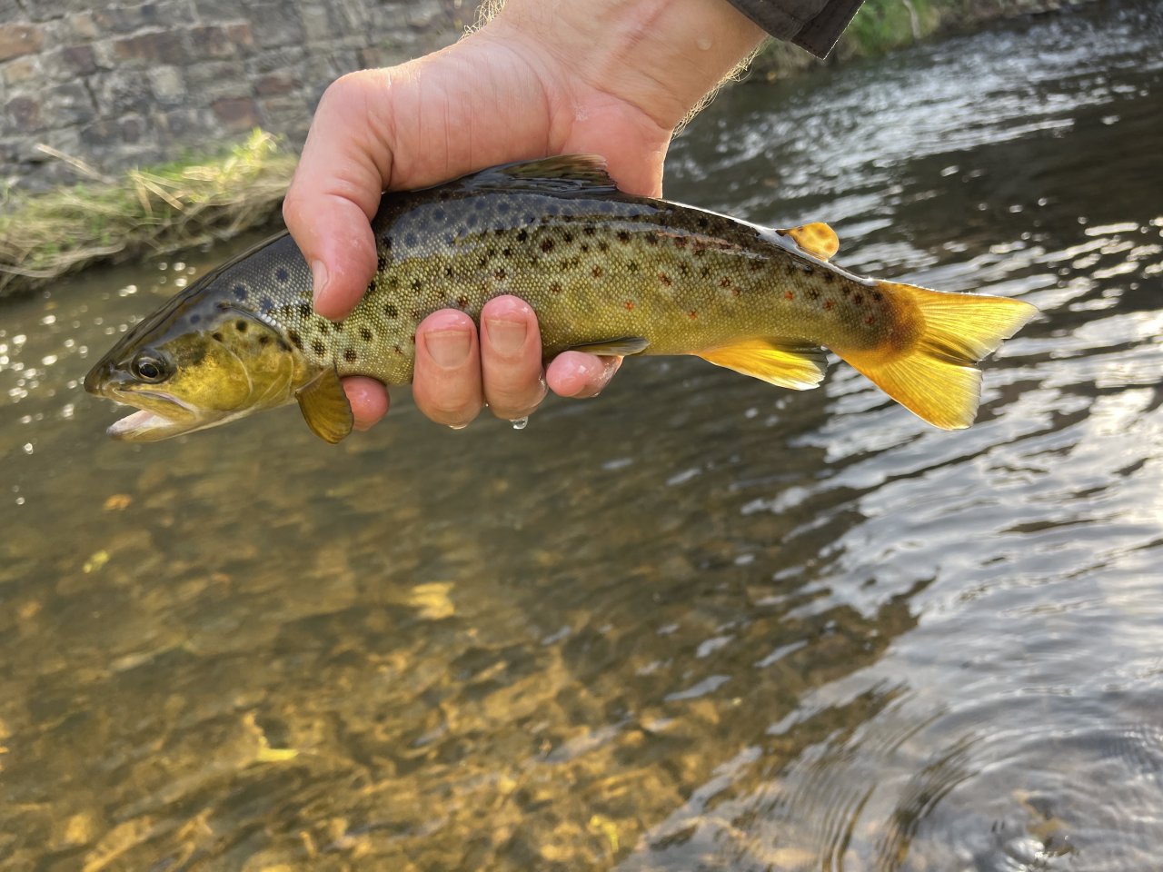 Lit�vka v Lochovic�ch