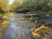 Litavka v Lochovicch