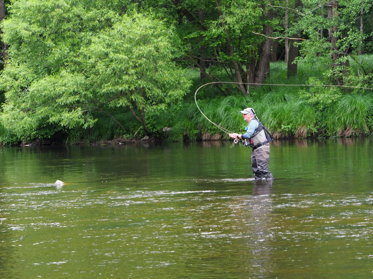 Tom� Star�chfojt�, MS 2025, Vltava 27