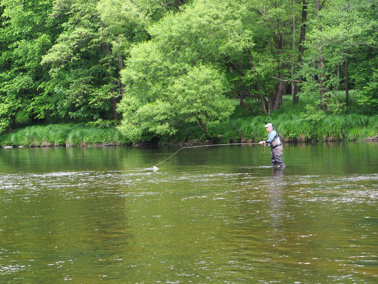 Tom� Star�chfojt�, MS 2025, Vltava 27