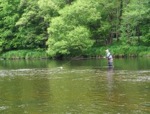 Tomáš Starýchfojtů, MS 2025, Vltava 27