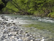 Rychlá voda nad Obrne