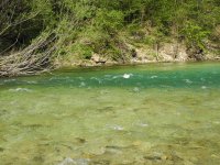 Sva Bohinka v okol msta Bled