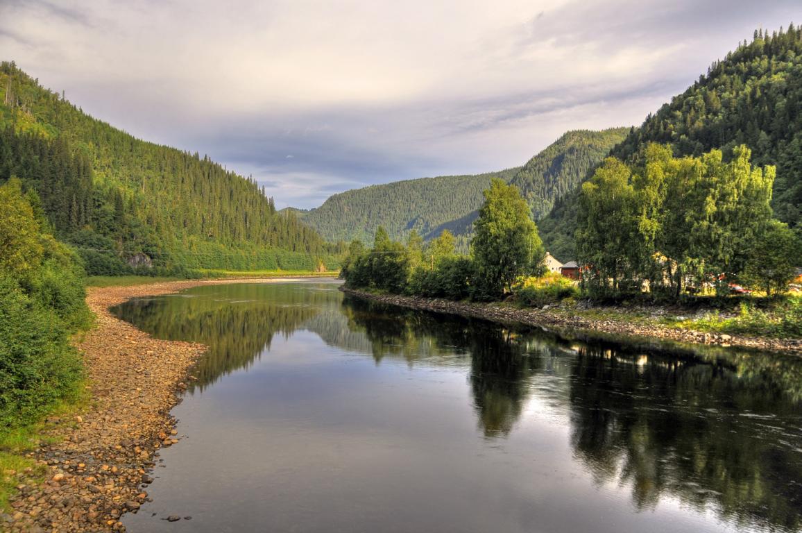 Horn� ��st Bogen S�ndere Beat pobl� Kots�y 