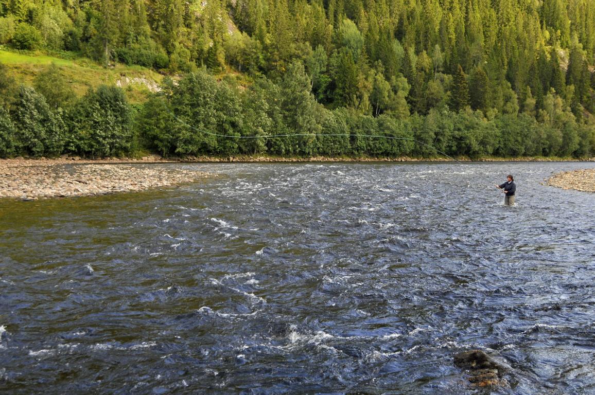 Ryb��(-ka) ryba��c� pobl� Kots�y