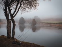 MS v muškaření 2022 Španělsko