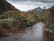 MS v muškaření 2022 Španělsko