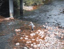 MS v muškaření 2022 Španělsko