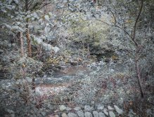 MS v muškaření 2022 Španělsko