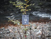 MS v muškaření 2022 Španělsko