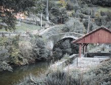 MS v muškaření 2022 Španělsko