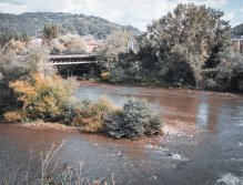 MS v muškaření 2022 Španělsko