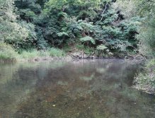 Želivka pod Souticemi