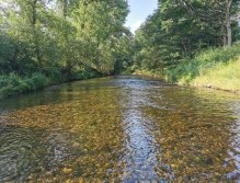 Želivka pod Souticemi