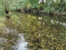 Želivka pod Souticemi