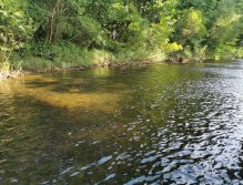 Želivka pod Souticemi