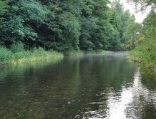 Želivka pod Souticemi