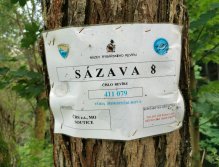 Želivka pod Souticemi je částí revíru Sázava 8