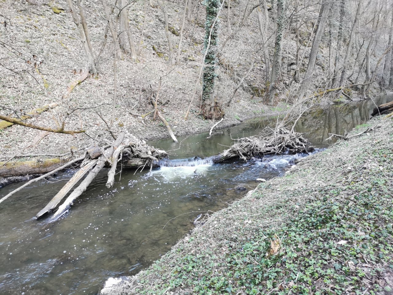 Ka��k pod obc� Hostim