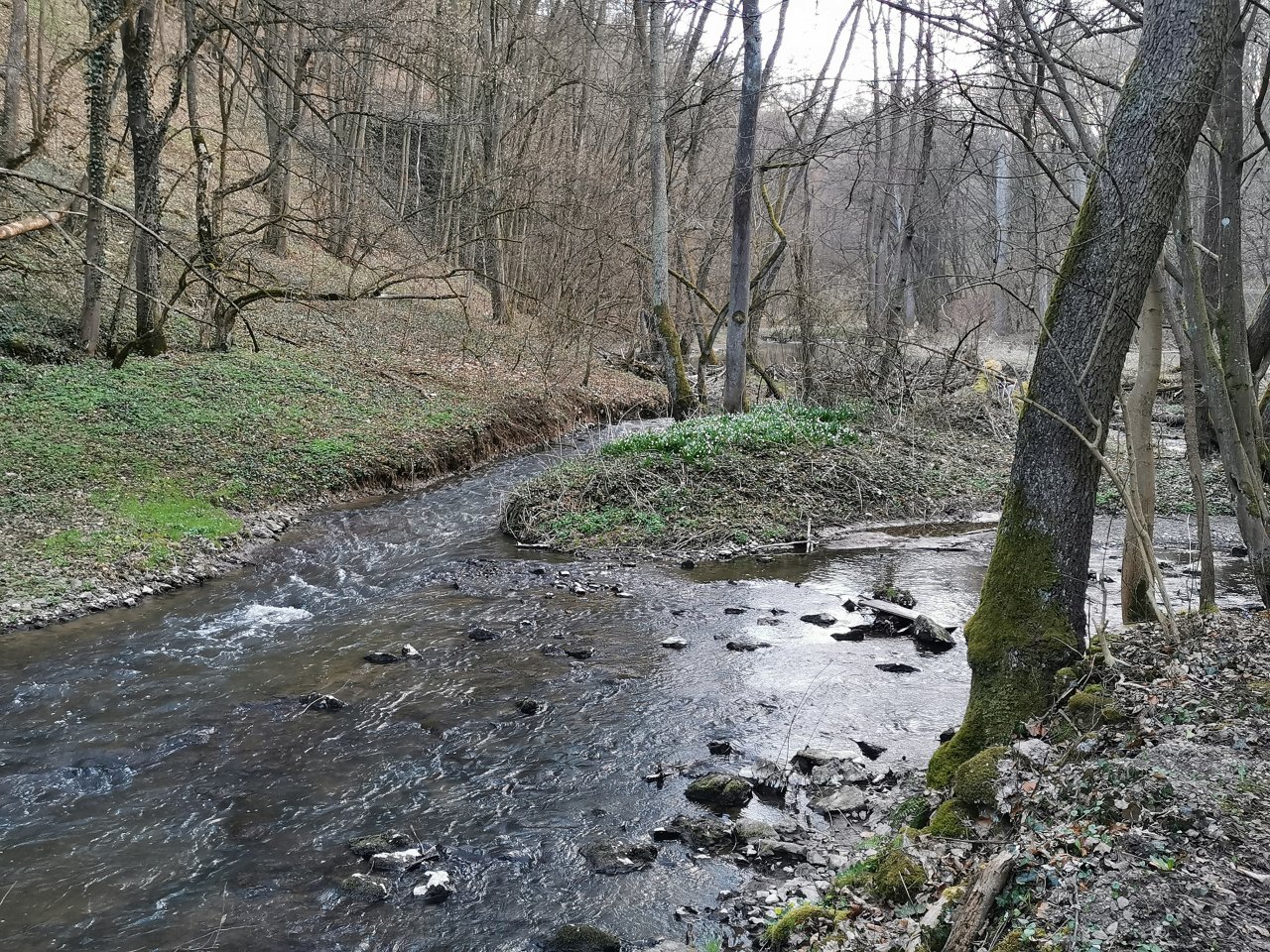 Ka��k pod obc� Hostim