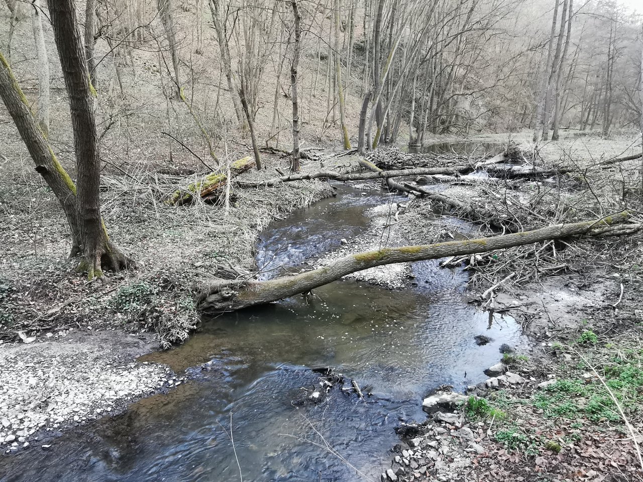 Ka��k pod obc� Hostim