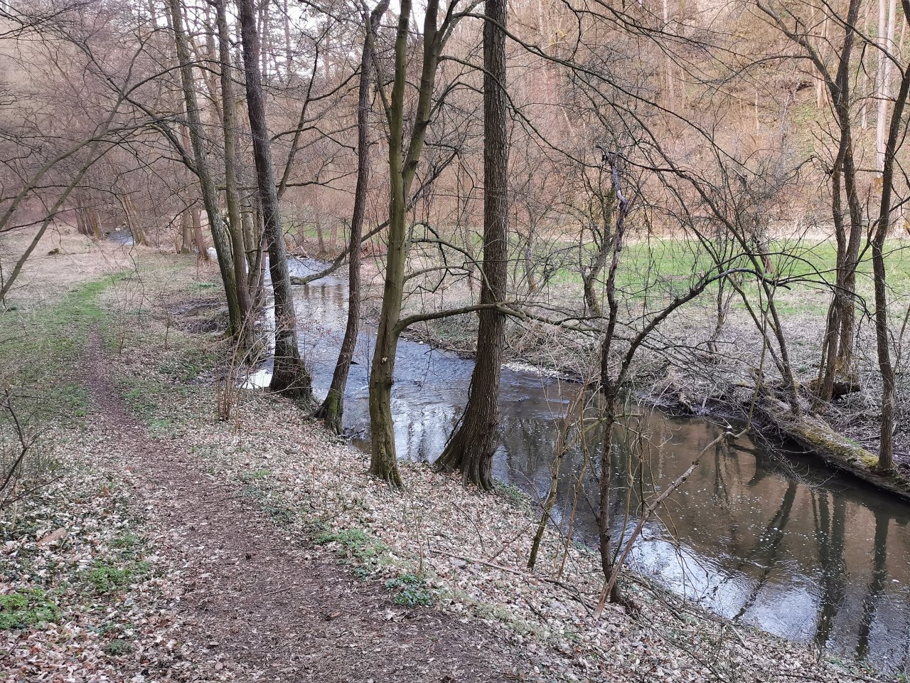 Ka��k pod obc� Hostim