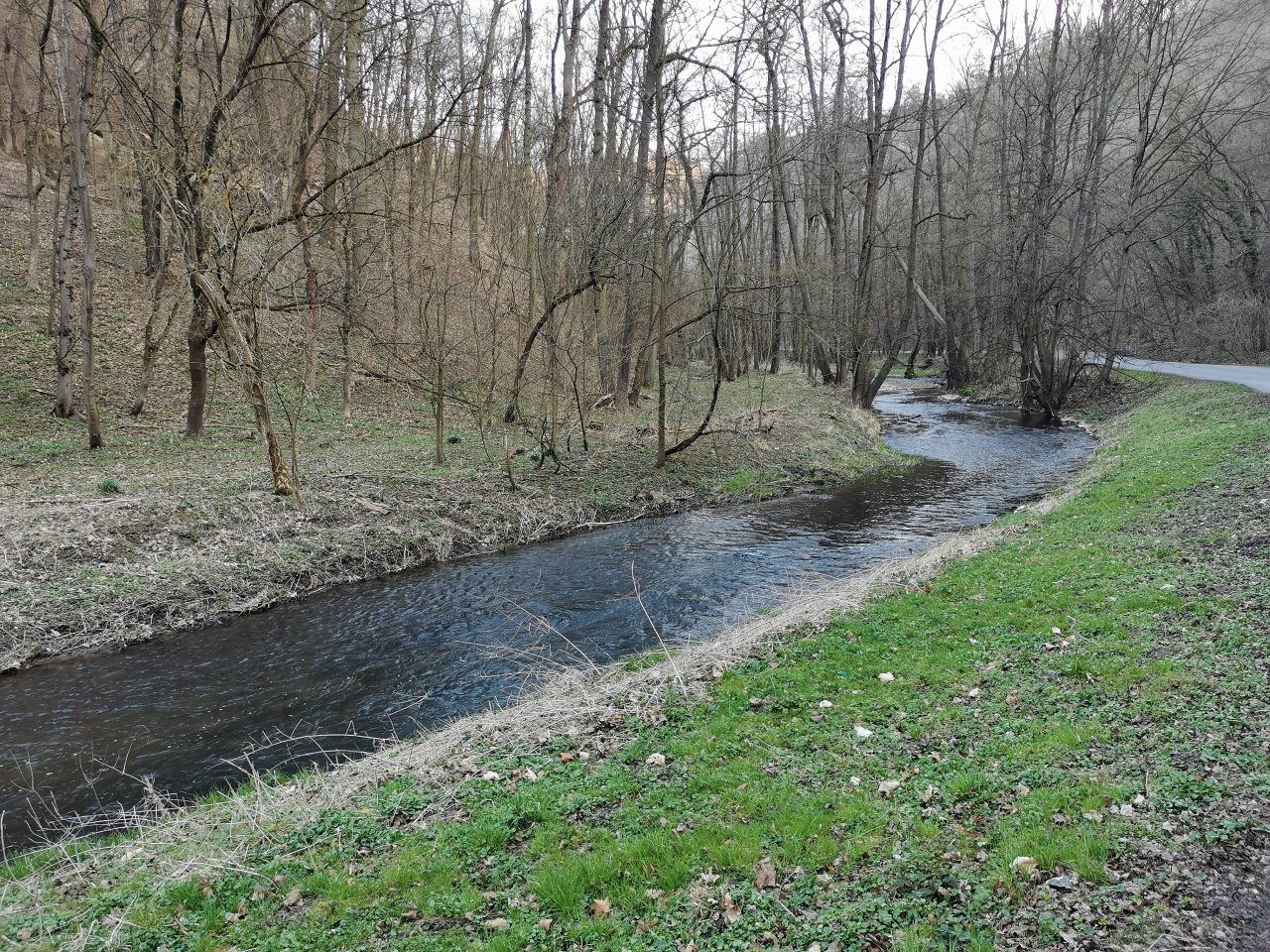 Ka��k mezi obcemi Hostim a Svat� Jan pod Skalou