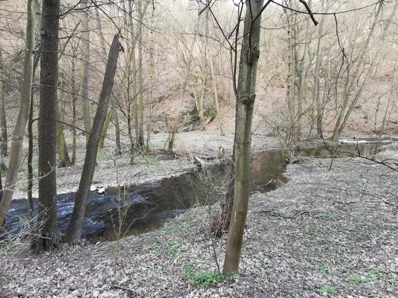 Ka��k mezi obcemi Hostim a Svat� Jan pod Skalou