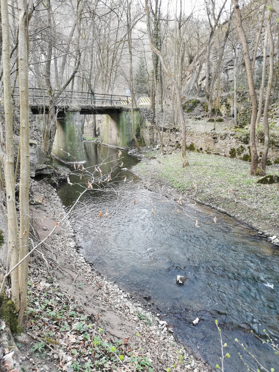 Ka��k pod obc� Hostim