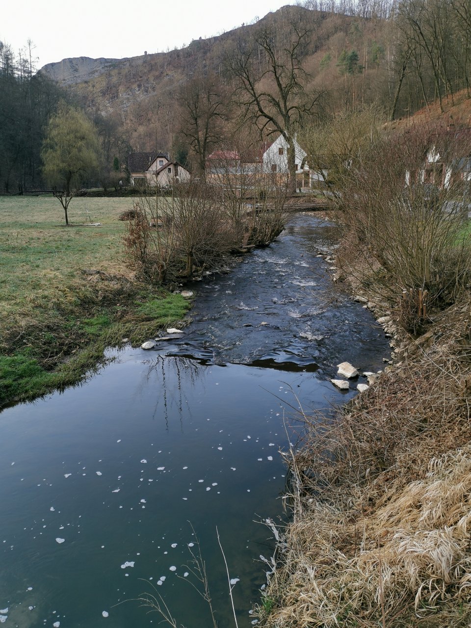 Ka��k v obci Svat� Jan pod Skalou