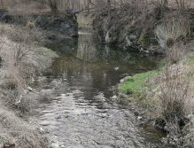 Kačák v obci Svatý Jan pod Skalou