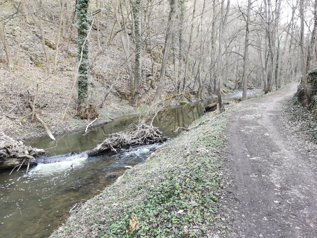 Ka��k pod obc� Hostim