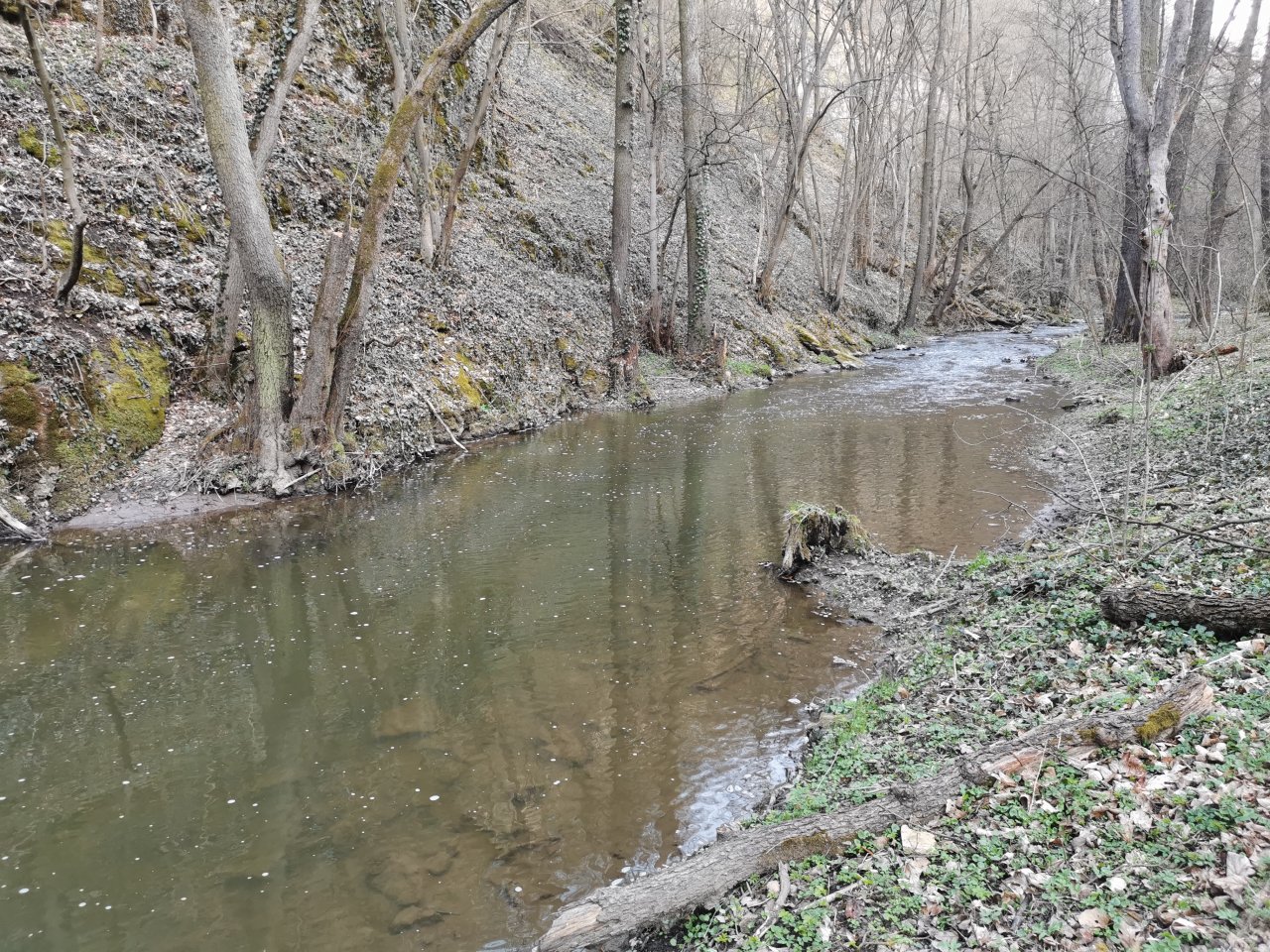 Ka��k pod obc� Hostim