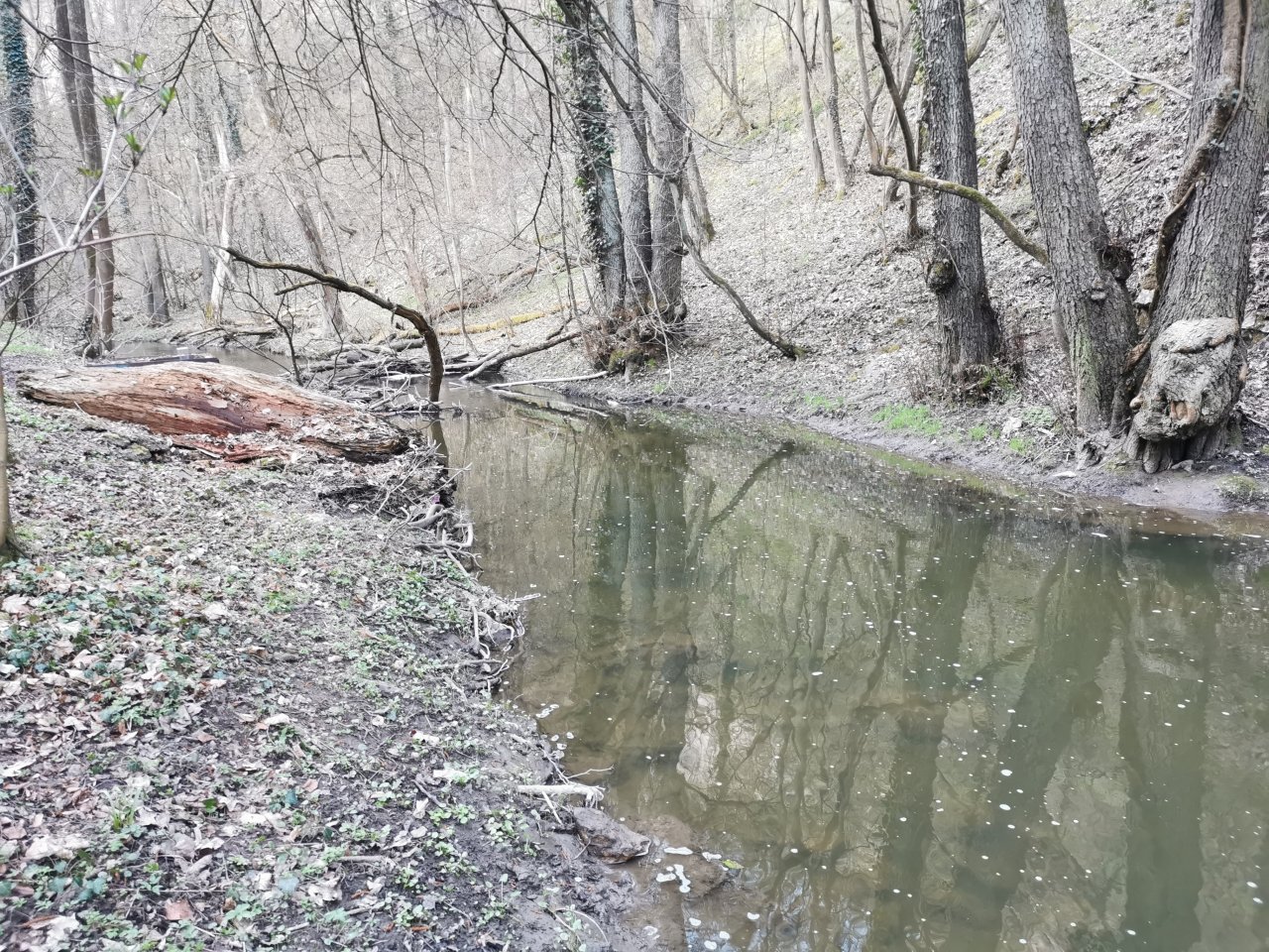 Ka��k pod obc� Hostim