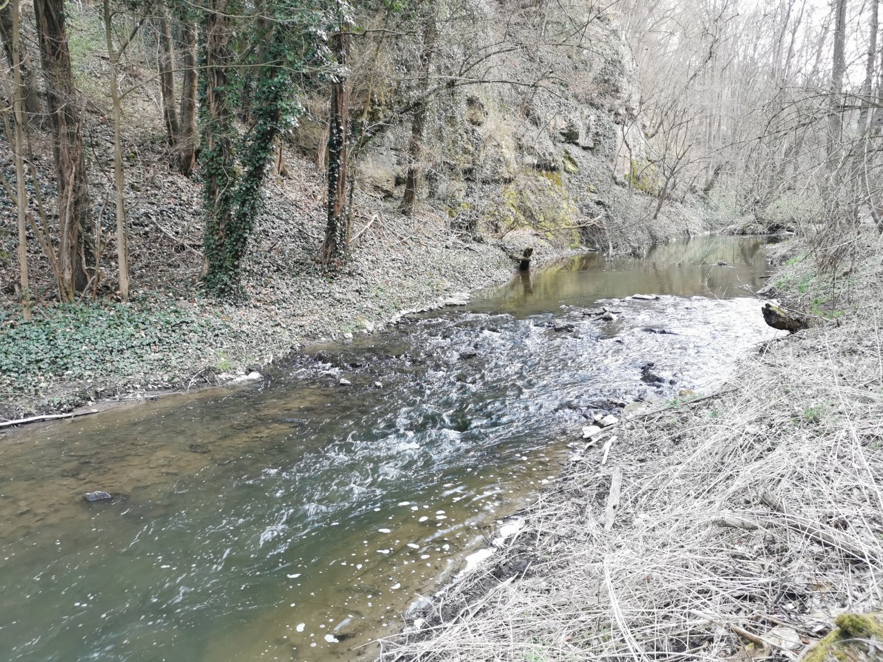 Ka��k pod obc� Hostim