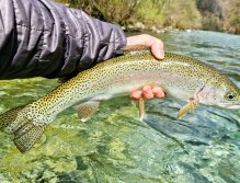 Jarní muškařská výprava za slovinskými mohykány