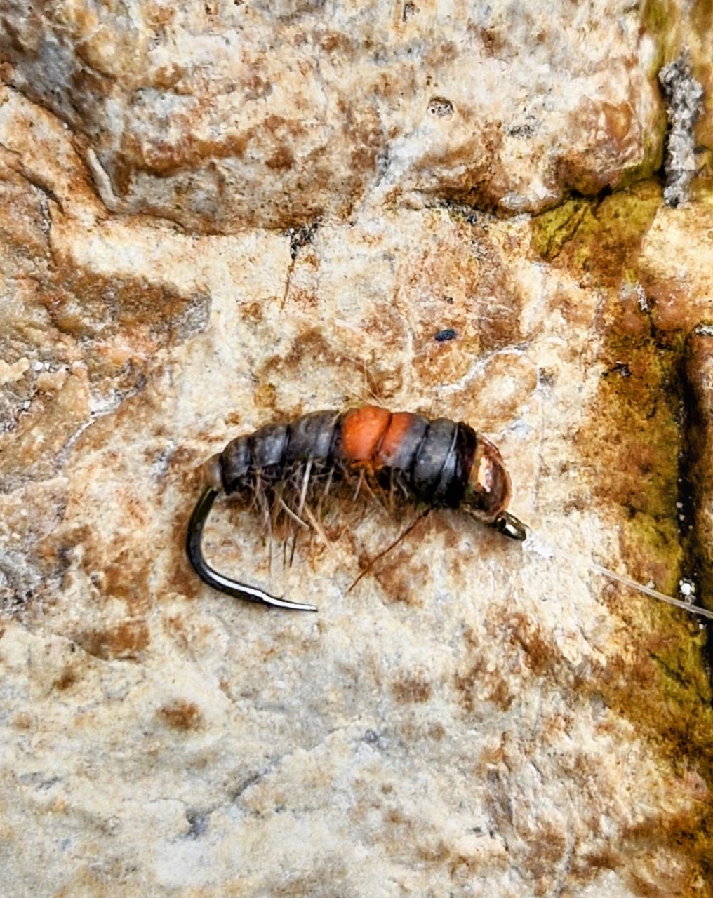 Jarn� mu�ka�sk� v�prava za slovinsk�mi mohyk�ny