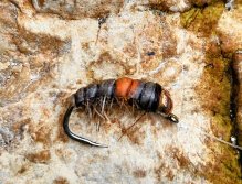 Jarní muškařská výprava za slovinskými mohykány