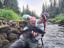 S muškařským prutem ve Švédsku třikrát za sebou