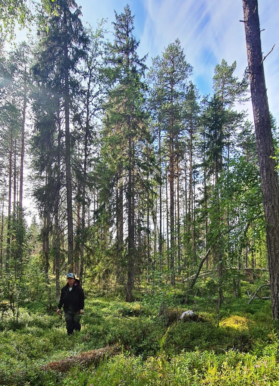 S mu�ka�sk�m prutem ve �v�dsku t�ikr�t za sebou