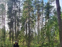 S muškařským prutem ve Švédsku třikrát za sebou