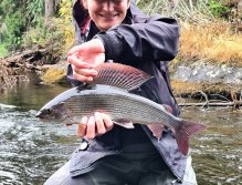 S muškařským prutem ve Švédsku třikrát za sebou