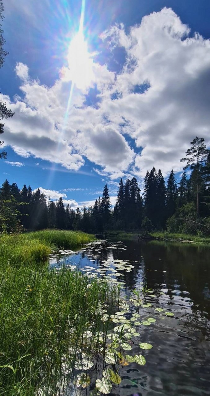 S mu�ka�sk�m prutem ve �v�dsku t�ikr�t za sebou