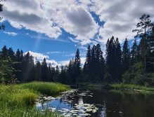 S muškařským prutem ve Švédsku třikrát za sebou