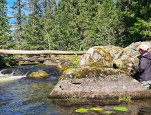 S muškařským prutem ve Švédsku třikrát za sebou