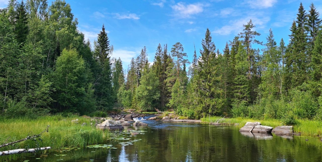 S mu�ka�sk�m prutem ve �v�dsku t�ikr�t za sebou