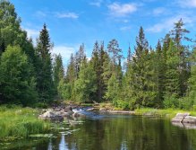 S muškařským prutem ve Švédsku třikrát za sebou