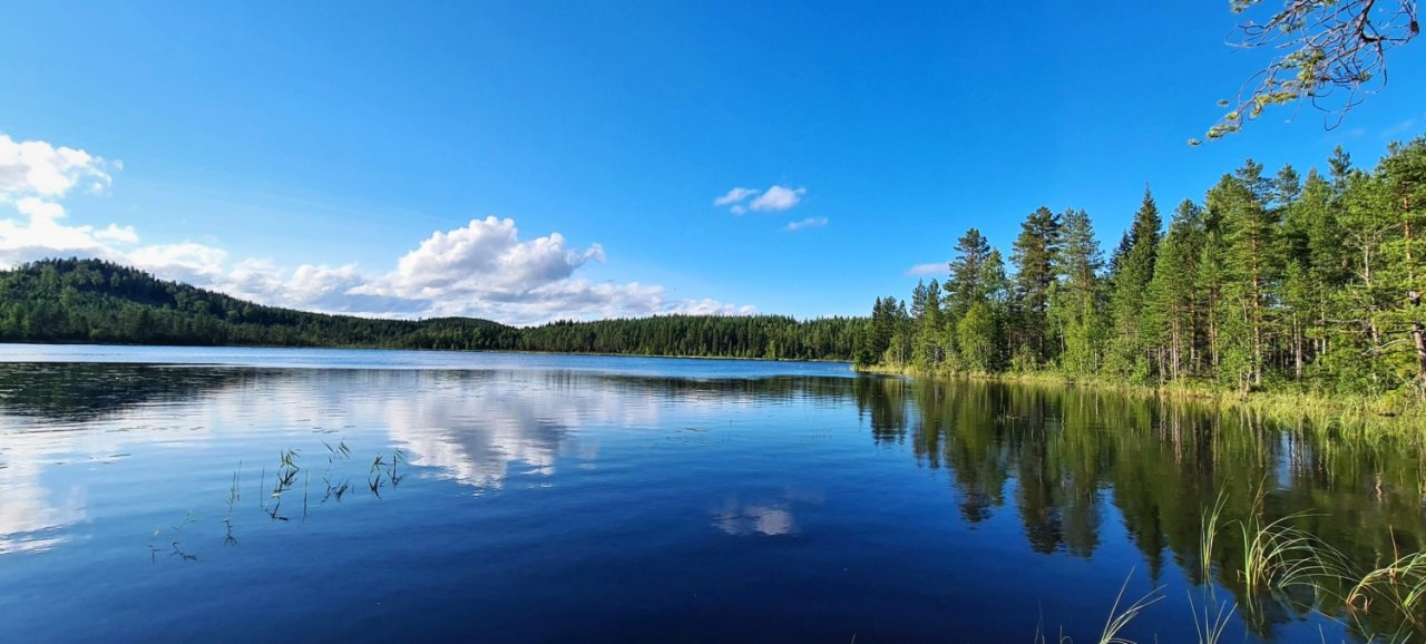 S mu�ka�sk�m prutem ve �v�dsku t�ikr�t za sebou